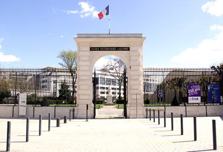 Alfort National Veterinary School, France